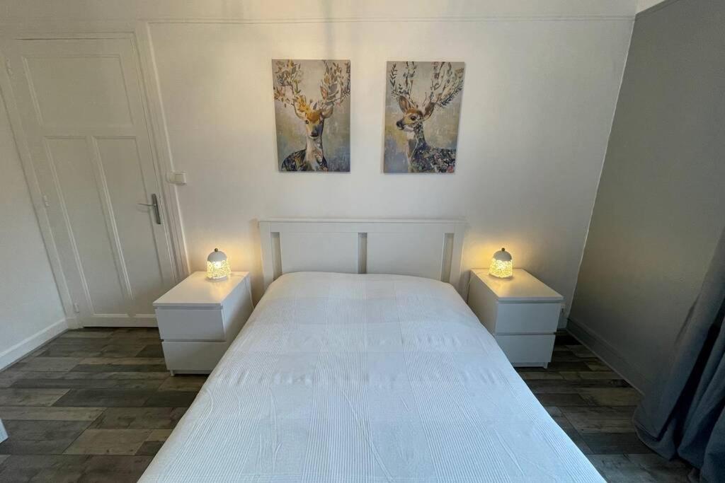 Appartement Moderne Boulogne Sur Mer Proche De La Plage Et Nausicaa エクステリア 写真